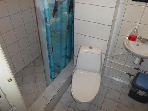 y baño con aseo y lavamanos. en TORE KÜLALISTEMAJA en Tallin