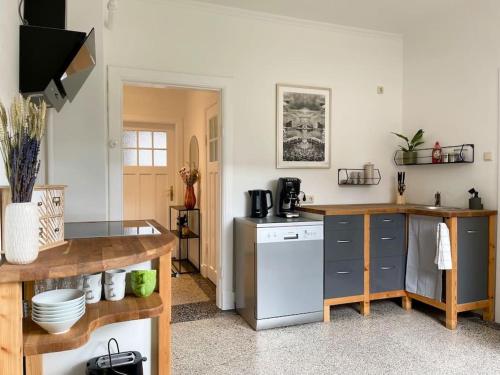 eine Küche mit Spüle und Geschirrspüler in der Unterkunft Modern und ruhig in Elmshorn in Elmshorn
