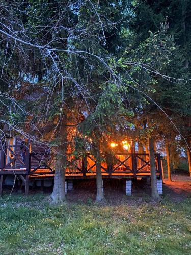un banc en bois assis à côté de quelques arbres la nuit dans l'établissement Dom pod gruszą, à Klepnica