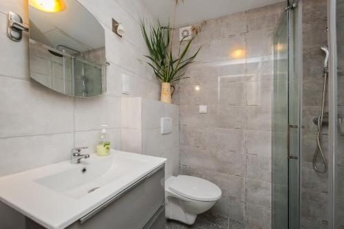La salle de bains est pourvue de toilettes, d'un lavabo et d'une douche. dans l'établissement Dom pod gruszą, à Klepnica