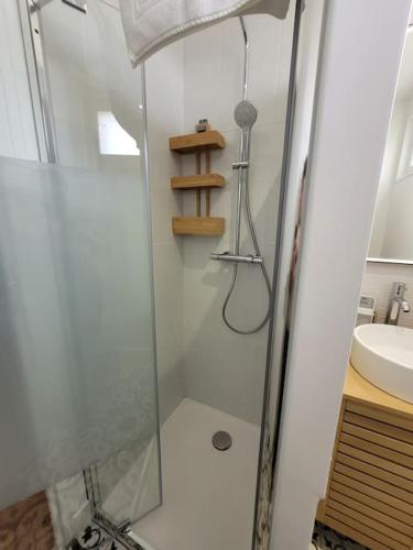 une douche avec une porte vitrée à côté d'un lavabo dans l'établissement Le Cocon - Barneville plage, à Barneville-Carteret