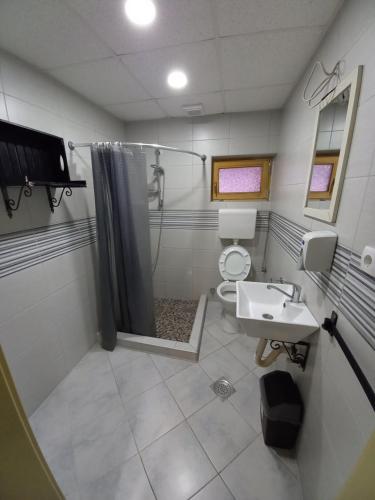 a bathroom with a shower and a toilet and a sink at Muzička Kutija in Jagodina
