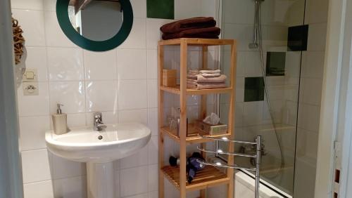 a bathroom with a sink and a toilet and a shower at La Vallée Verte in Grandchamp