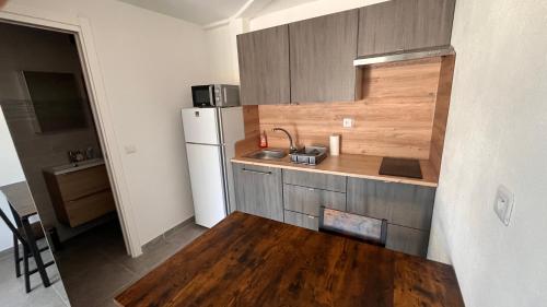eine kleine Küche mit Spüle und Kühlschrank in der Unterkunft le cabanon in Roquebrune-Cap-Martin