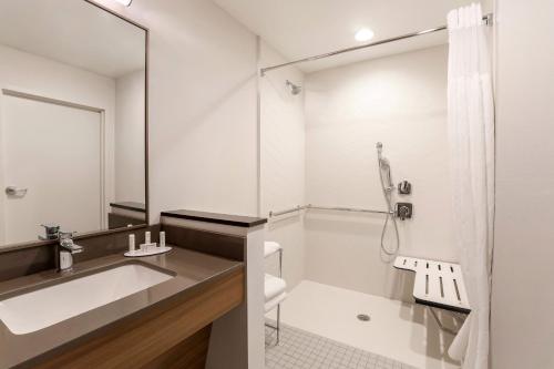 uma casa de banho com um lavatório e um chuveiro em Fairfield by Marriott Inn & Suites Cape Coral North Fort Myers em Cape Coral