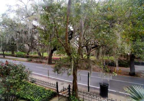 Κήπος έξω από το Forsyth Park Inn