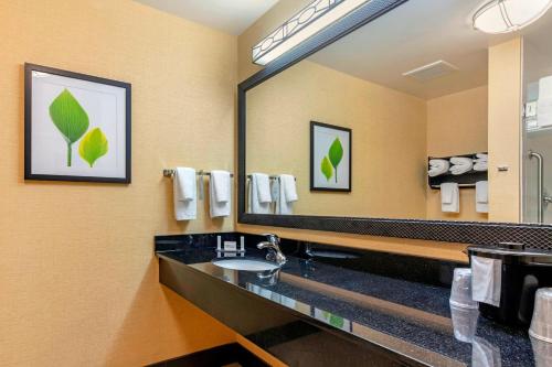 La salle de bains est pourvue d'un lavabo et d'un grand miroir. dans l'établissement Fairfield Inn & Suites Columbus, à Columbus