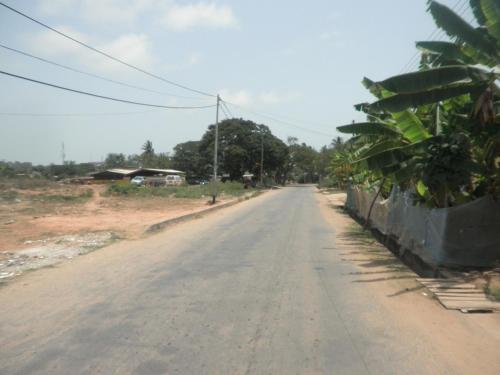 an empty road with palm trees on the side at Marrets International Hotel - "Express" in Cape Coast