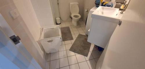 ein kleines Bad mit WC und Waschbecken in der Unterkunft Modern Private Room in Shared 2-Bed Apartment - Central City Center -2 in Canberra