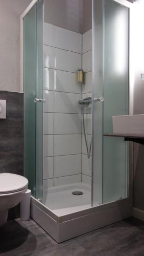 a shower with a glass door in a bathroom at Pension Falconi in Kolín