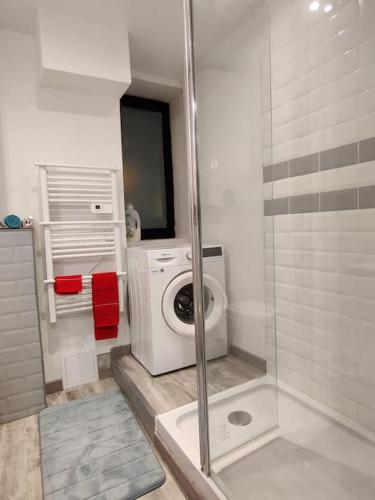 une machine à laver dans une salle de bain avec douche dans l'établissement Les Studios De Flo' : The Bel'Factory 38 m² WIFI, à Belfort