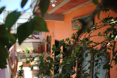una habitación con algunas plantas en una pared en ROSÁRIO TEMPORADA Hostel en Olinda