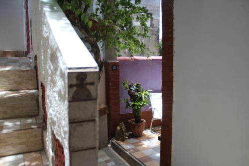 Fotografie z fotogalerie ubytování ROSÁRIO TEMPORADA Hostel v destinaci Olinda