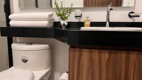 a bathroom with a white toilet and a sink at Departamento nuevo en el corazón de la Condesa in Mexico City