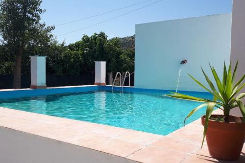 Quinta da Ponte das Hortas 1 في الفاس: حمام سباحة مع نباتات الفخار بجوار مبنى