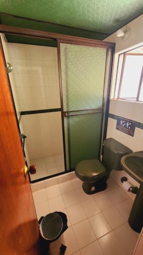 a bathroom with a green toilet and a sink at Hospedaje campestre los pinos in Guatavita