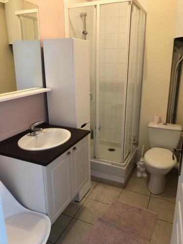 ein Bad mit einer Dusche, einem Waschbecken und einem WC in der Unterkunft SUPER APPARTEMENT PLAGE BERCK in Berck-sur-Mer