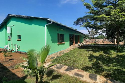 Chilanga的住宿－Artist Villa in a Beautiful Yard，蓝色和绿色外墙的房子