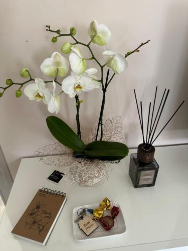 Foto dalla galleria di Sweet Home a Savigliano