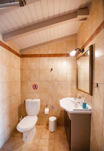 a bathroom with a toilet and a sink at Villa Verde in Lefkada