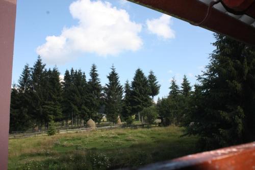 een uitzicht vanuit een treinraam op een veld met bomen bij Pensiunea Valea Galbenei in Arieşeni