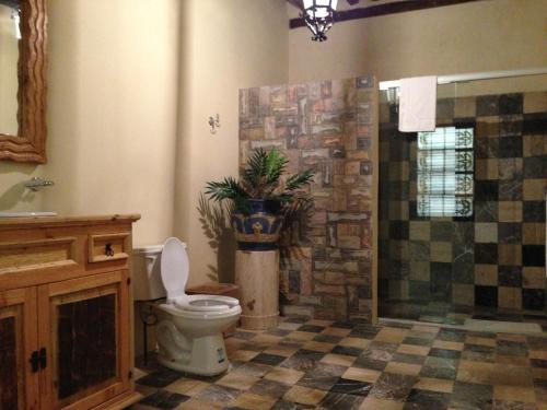 a bathroom with a toilet and a plant in it at Hotel Travel in Puebla