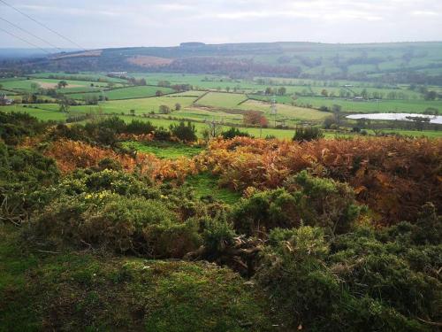 a view of a field from a hill with bushes at The Barn in Durham