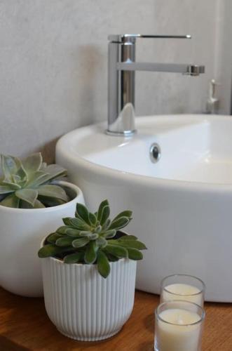a bathroom with a sink and a potted plant and glasses at Cantinho do Pópulo - Beach House in Ponta Delgada
