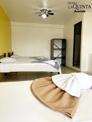 a room with two beds and a fan at Hotel Quinta Avenida in San José