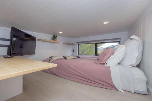 Televisyen dan/atau pusat hiburan di Tiny house with mountain views, indoor and outdoor fire, private courtyard garden