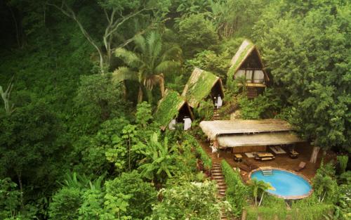 widok z góry na dom w dżungli w obiekcie Bohemia Experience w mieście Playa Santa Teresa