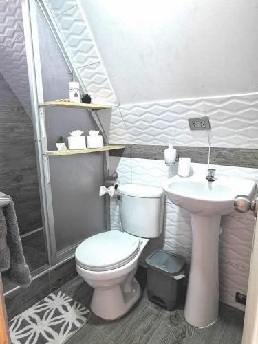 a bathroom with a toilet and a sink at Oxablues Home Lodge in Oxapampa