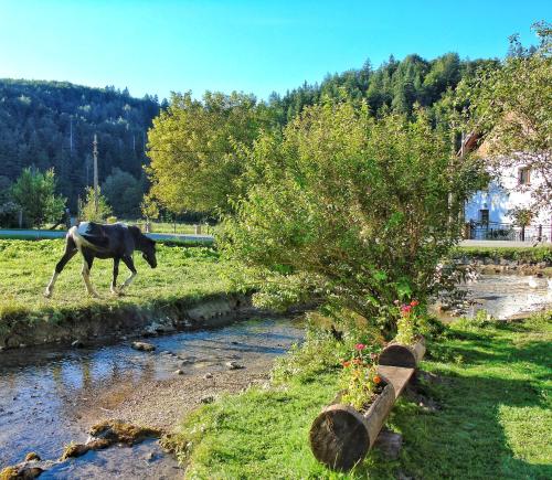 a horse walking in the grass next to a river at Guest House Končar in Plitvička Jezera