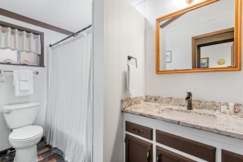 a bathroom with a toilet and a sink and a mirror at Eagle's Nest in Franklin