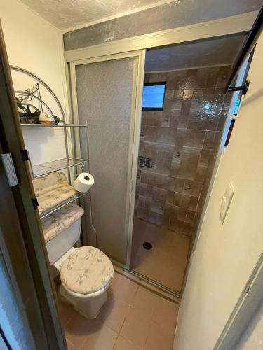 a bathroom with a toilet and a shower at Departamento Naval Coyoacán in Mexico City