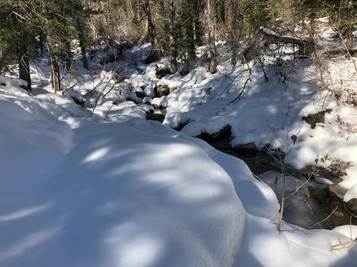 OLYMPIC VILLAGE INN, Olympic Valley (updated prices 2024)