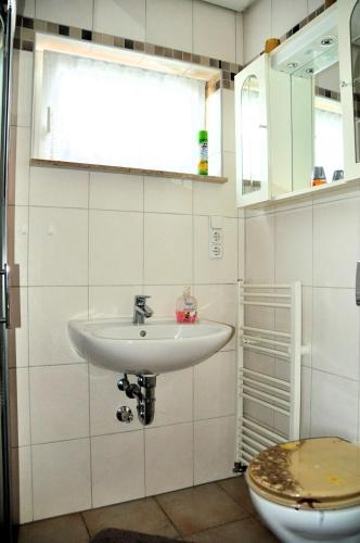 Ένα μπάνιο στο Ferienwohnung Eudenbach