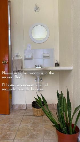 a bathroom with a potted plant on the floor at Casa ALOA Ixtapa in Ixtapa