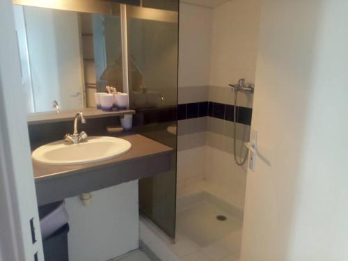 une salle de bain avec un lavabo et une douche dans l'établissement T3 Mezzanine, 6 pers, Piscine, Plage, Parking, Animaux OK - FR-1-106-67, à Saint-Cyprien