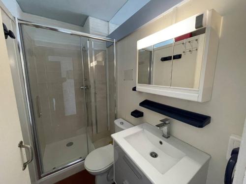 une salle de bain avec une douche, un lavabo et des toilettes dans l'établissement Appartement T2 avec 6 couchages, animaux admis, parking, wifi - FR-1-106-75, à Saint-Cyprien