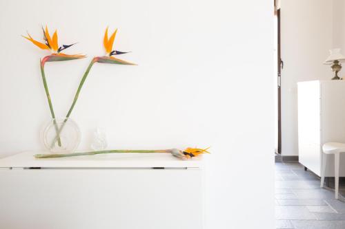 eine Vase mit zwei Vögeln auf einem Regal in einem Raum in der Unterkunft emozioni di casa Barone in Scicli