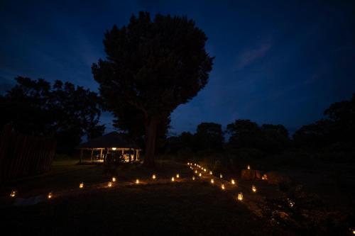 a lit up garden at night with a tree and lights at Ceylon Wild in Kataragama