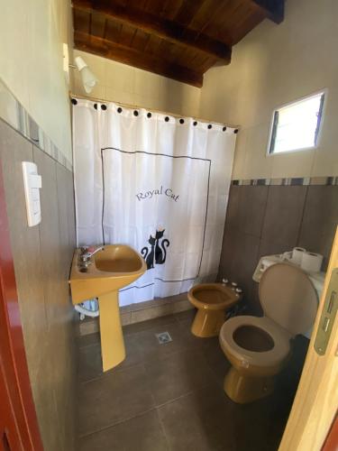 La salle de bains est pourvue de toilettes, d'un lavabo et d'une douche. dans l'établissement Casa en Saladillo, à Saladillo