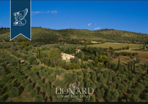an aerial view of a forest of trees with a bird at Villa Pieve Vecchia in Campagnatico