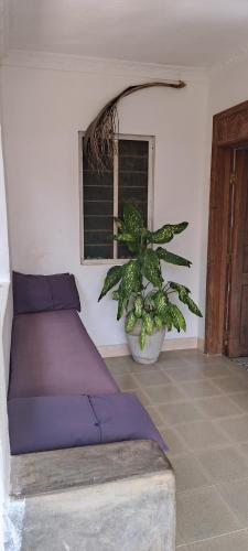 Karara House – Photos 4