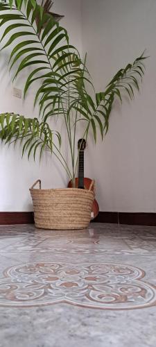 Karara House – Photos 3