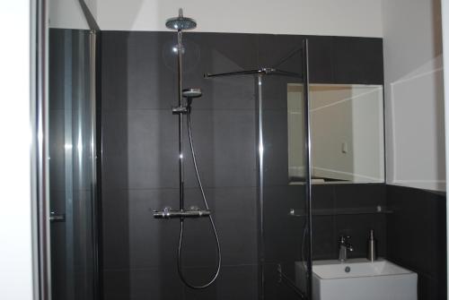 een badkamer met een douche, een toilet en een wastafel bij B&B Central Park in Utrecht
