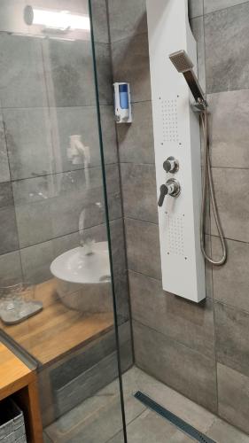 a bathroom with a shower and a sink at Bornemisza Kúria Wellness Resort in Tiszabecs