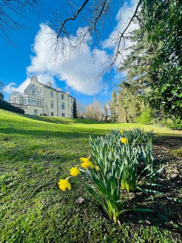 Κήπος έξω από το Larchmount House B&B