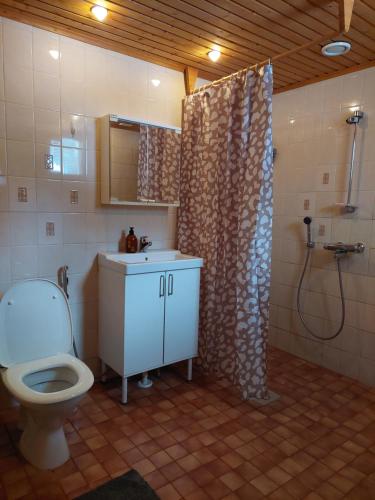 a bathroom with a toilet and a sink and a shower at Villa Wältti in Rovaniemi
